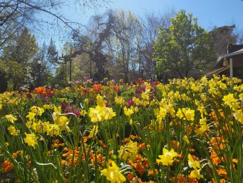 VIVIENDAS FUNCIONARIALES DE PAMPLONA
