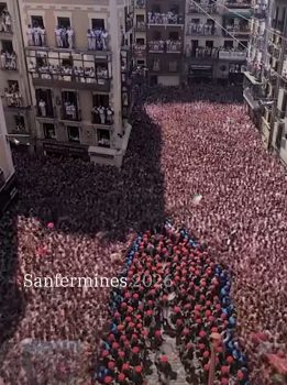 LOS MOMENTICOS DE PAMPLONA